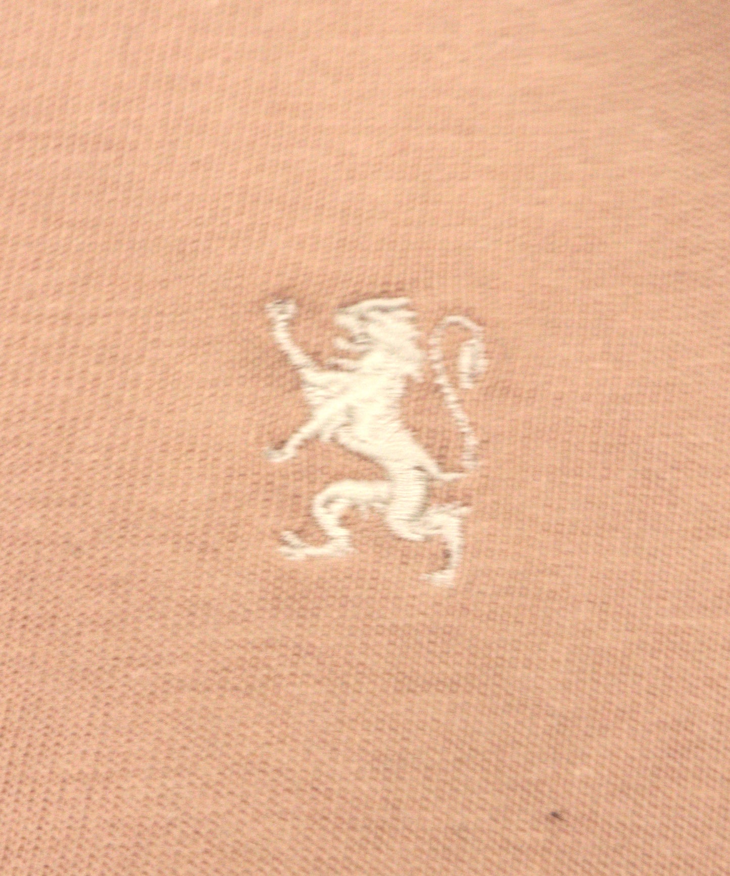 スモールライオン刺繍ロングTシャツ(男女兼用)